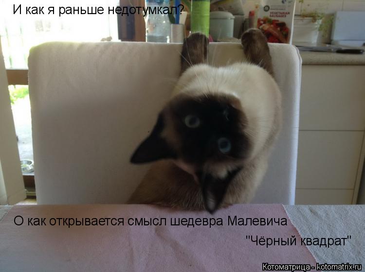 И как я раньше недотумкал? О как открывается смысл шедевра Малевича "Чёрный квадрат"... Котоматрица: И как я раньше недотумкал? О как открывается смысл шедевра Малевича "Чёрный квадрат"