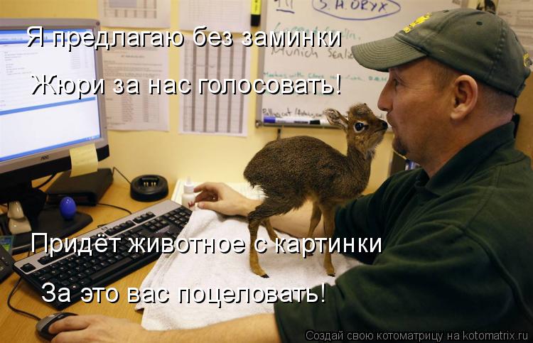 Я предлагаю без заминки Жюри за нас голосовать! Придёт животное с картинки За это вас поцеловать!... Котоматрица: Я предлагаю без заминки Жюри за нас голосовать! Придёт животное с картинки За это вас поцеловать!