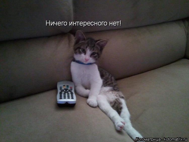 Ничего интересного нет!... Котоматрица: Ничего интересного нет!