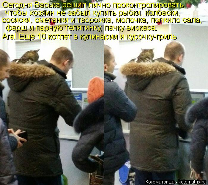 Сегодня Васька решил лично проконтролировать, чтобы хозяин не забыл купить рыбки, колбаски, сосиски,... Котоматрица: Сегодня Васька решил лично проконтролировать, чтобы хозяин не забыл купить рыбки, колбаски, сосиски, сметанки и творожка, молочка, полкило