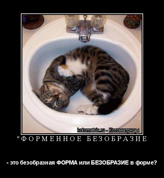 Котоматрица:  "ФОРМЕННОЕ БЕЗОБРАЗИЕ - это безобразная ФОРМА или БЕЗОБРАЗИЕ в форме?