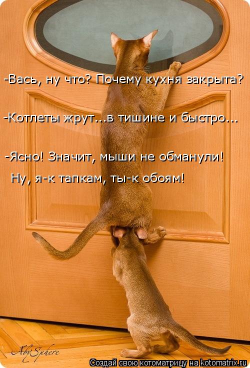 Котоматрица: -Ясно! Значит, мыши не обманули! Ну, я-к тапкам, ты-к обоям! -Вась, ну что? Почему кухня закрыта? -Котлеты жрут...в тишине и быстро...