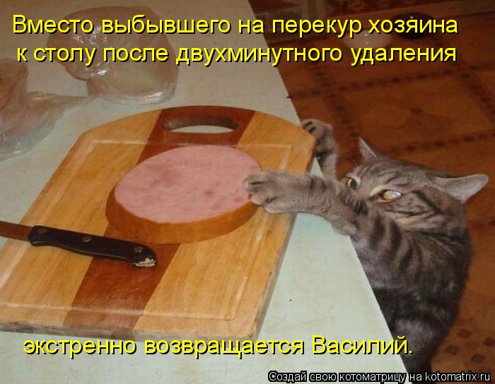 Вместо выбывшего на перекур хозяина к столу после двухминутного удаления экстренно возвращается Васил... Котоматрица: Вместо выбывшего на перекур хозяина к столу после двухминутного удаления экстренно возвращается Василий.
