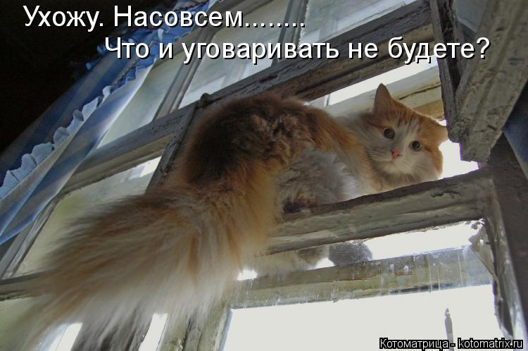 Котоматрица: Ухожу. Насовсем........ Что и уговаривать не будете?
