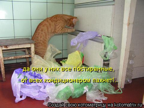 Котоматрица: да они у них все постиранные, от всех кондиционером пахнет!..