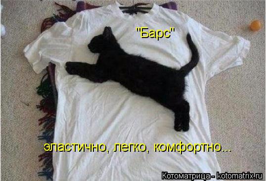 Котоматрица: "Барс" эластично, легко, комфортно...