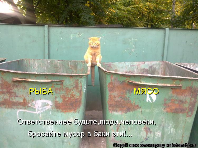 РЫБА МЯСО Ответственнее будьте,люди,человеки, бросайте мусор в баки ... Котоматрица: РЫБА МЯСО Ответственнее будьте,люди,человеки, бросайте мусор в баки эти!...