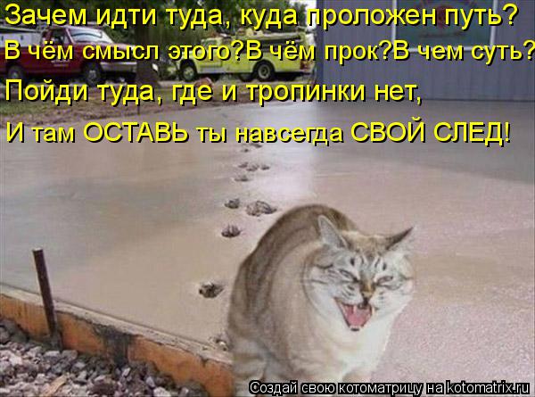 Котоматрица: Зачем идти туда, куда проложен путь? В чём смысл этого?В чём прок?В чем суть? Пойди туда, где и тропинки нет, И там ОСТАВЬ ты навсегда СВОЙ СЛЕД