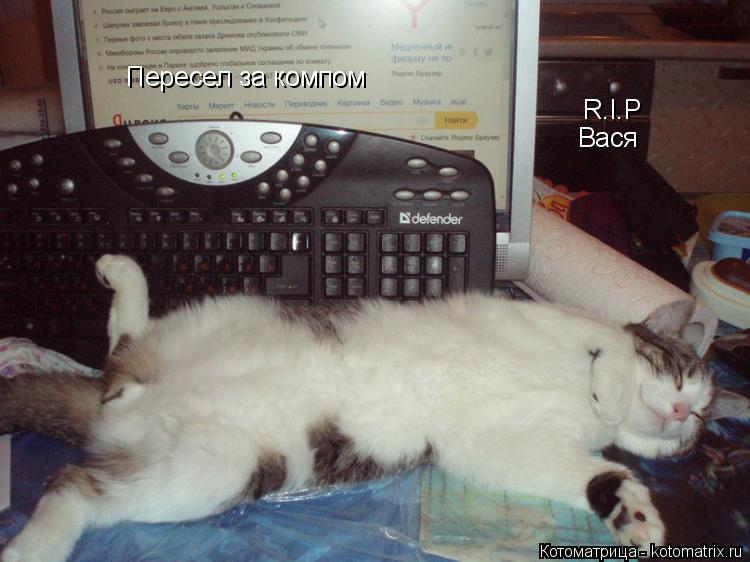 Котоматрица: R.I.P R.I.P Вася Пересел за компом