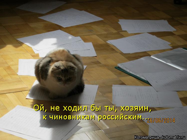 Котоматрица: Ой, не ходил бы ты, хозяин,  к чиновникам российским...