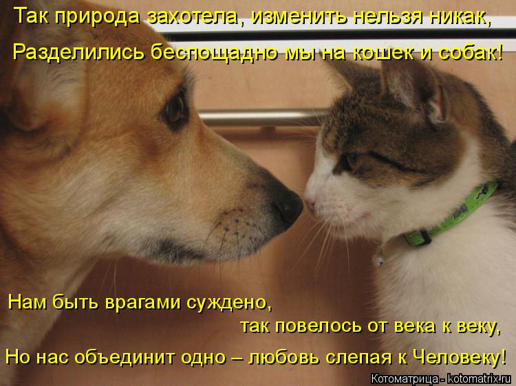 Так природа захотела, изменить нельзя никак, Разделились беспощадно мы на кошек и собак! Нам быть вра... Котоматрица: Так природа захотела, изменить нельзя никак, Разделились беспощадно мы на кошек и собак! Нам быть врагами суждено, так повелось от века к ве