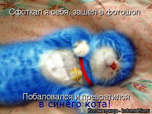 Сфоткал я себя, зашёл в фотошоп. Побаловался и превратился в синего кота!... Котоматрица: Сфоткал я себя, зашёл в фотошоп. Побаловался и превратился в синего кота!