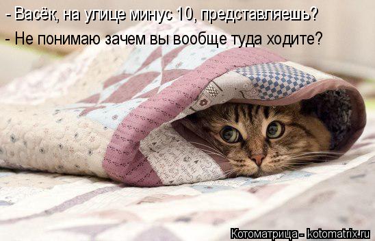 Котоматрица: - Васёк, на улице минус 10, представляешь? - Не понимаю зачем вы вообще туда ходите?