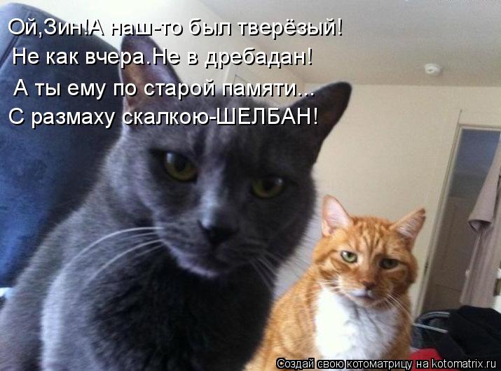 Ой,Зин!А наш-то был тверёзый! Не как вчера.Не в дребадан! А ты ему по старой памяти... С размаху скал... Котоматрица: Ой,Зин!А наш-то был тверёзый! Не как вчера.Не в дребадан! А ты ему по старой памяти... С размаху скалкою-ШЕЛБАН!