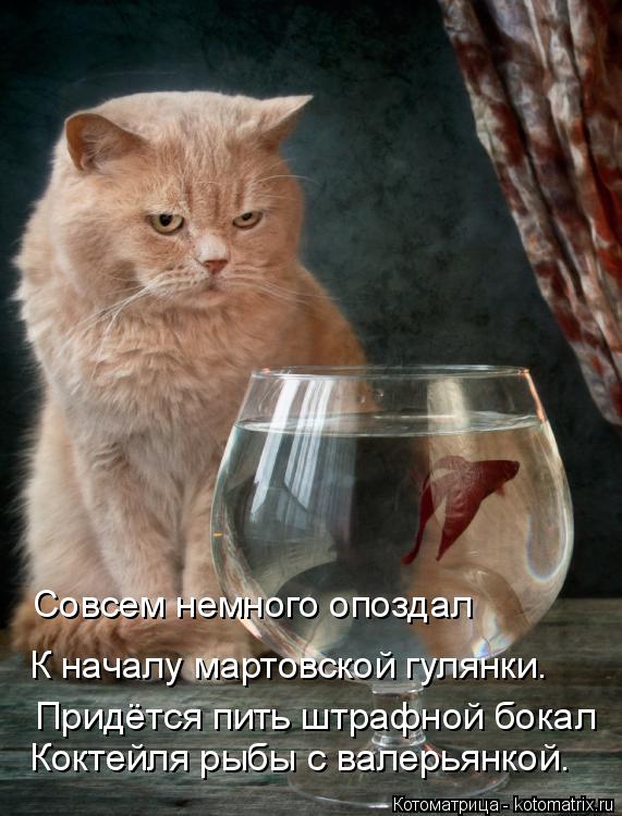 Котоматрица: Совсем немного опоздал К началу мартовской гулянки. Придётся пить штрафной бокал Коктейля рыбы с валерьянкой.