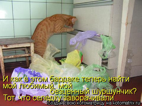 Котоматрица: И как в этом бардаке теперь найти мой любимый, мой  безценный шуршунчик? Тот, что селедку заворачивали
