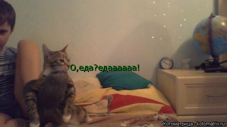 Котоматрица: О,еда?едаааааа!