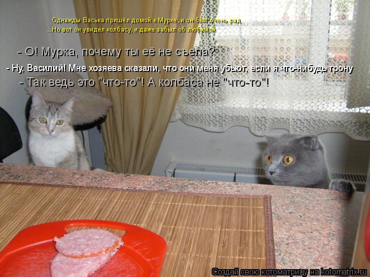 Однажды Васька пришёл домой к Мурке, и он был очень рад ...Но вот он увидел колбасу, и даже забыл об ... Котоматрица: Однажды Васька пришёл домой к Мурке, и он был очень рад ...Но вот он увидел колбасу, и даже забыл об любимой - О! Мурка, почему ты её не съела? -