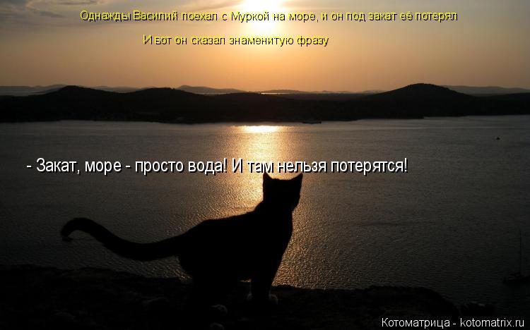 Однажды Василий поехал с Муркой на море, и он под закат её потерял И вот он сказал знаменитую фразу ... Котоматрица: Однажды Василий поехал с Муркой на море, и он под закат её потерял И вот он сказал знаменитую фразу - Закат, море - просто вода! И там нельзя п