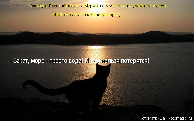 Котоматрица: Однажды Василий поехал с Муркой на море, и он под закат её потерял И вот он сказал знаменитую фразу  - Закат, море - просто вода! И там нельзя п