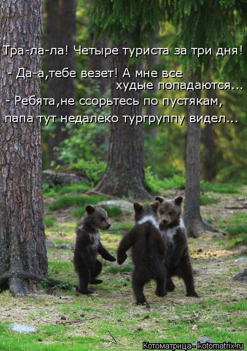 Котоматрица: - Ребята,не ссорьтесь по пустякам, папа тут недалеко тургруппу видел... худые попадаются... - Да-а,тебе везет! А мне все Тра-ла-ла! Четыре турист