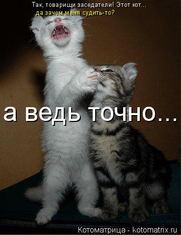 Так, товарищи заседатели! Этот кот... да зачем меня судить-то? а ведь точно...... Котоматрица: Так, товарищи заседатели! Этот кот... да зачем меня судить-то? а ведь точно...