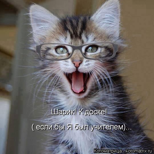 Шарик! К доске! ( если бы Я был учителем)...... Котоматрица: Шарик! К доске! ( если бы Я был учителем)...
