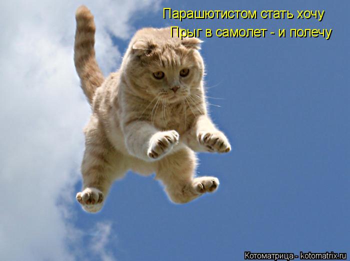 Парашютистом стать хочу Прыг в самолет - и полечу... Котоматрица: Парашютистом стать хочу Прыг в самолет - и полечу