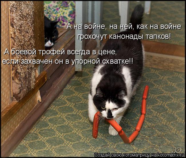 А на войне, на ней, как на войне грохочут канонады тапков! А боевой трофей всегда в цене, если захвач... Котоматрица: А на войне, на ней, как на войне грохочут канонады тапков! А боевой трофей всегда в цене, если захвачен он в упорной схватке!!