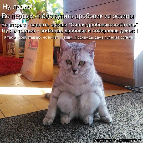 Котоматрица: Ну, ладно!  Во первых - надо купить дробовик из резины. Во вторых - сделать афиши "Силач-дробовикосгибатель" Ну и в третьих - сгибаешь дробовик 