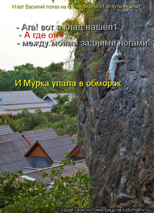 Котоматрица: И вот Василий полез на крутые скалы. И он чуть не упал  - Ага! вот я клад нашёл1  - А где он?  - между моими задними ногами!  И Мурка упала в обморок