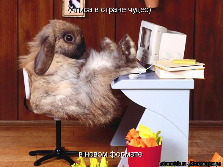 Котоматрица: (Алиса в стране чудес) в новом формате