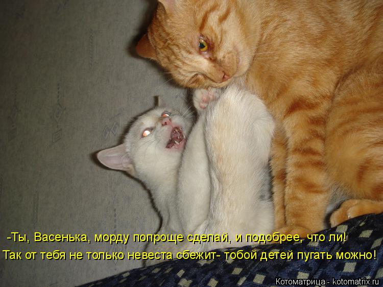 -Ты, Васенька, морду попроще сделай, и подобрее, что ли! Так от тебя не только невеста сбежит- тобой ... Котоматрица: -Ты, Васенька, морду попроще сделай, и подобрее, что ли! Так от тебя не только невеста сбежит- тобой детей пугать можно!