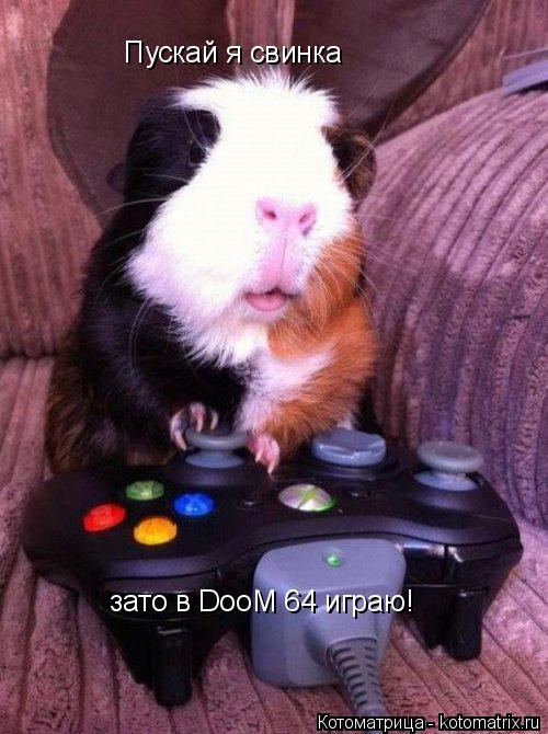 Котоматрица: Пускай я свинка зато в DooM 64 играю!