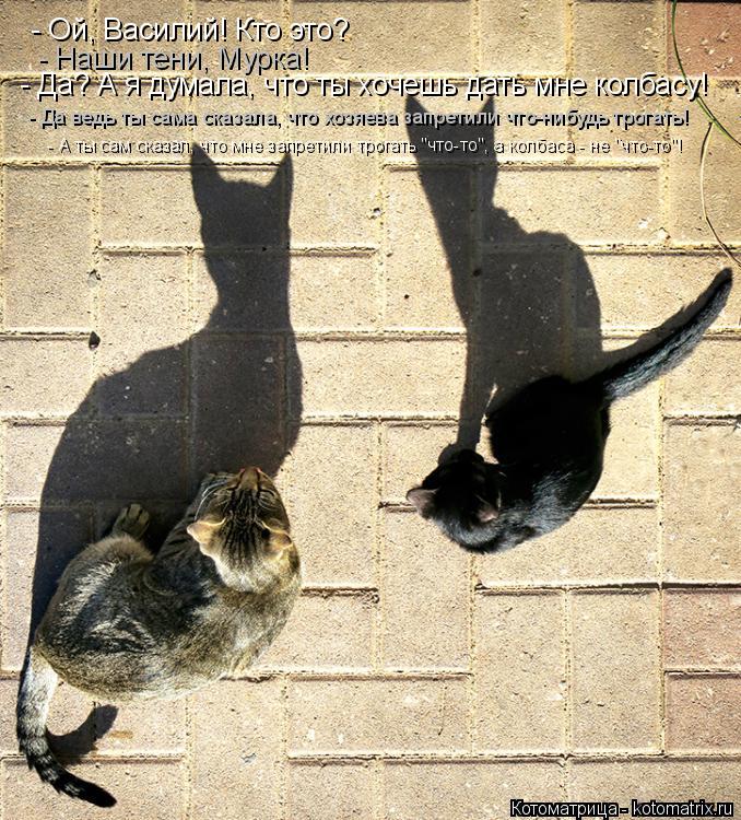 - Ой, Василий! Кто это? - Наши тени, Мурка! - Да? А я думала, что ты хочешь дать мне колбасу! - Да... Котоматрица: - Ой, Василий! Кто это? - Наши тени, Мурка! - Да? А я думала, что ты хочешь дать мне колбасу! - Да ведь ты сама сказала, что хозяева запретили что-