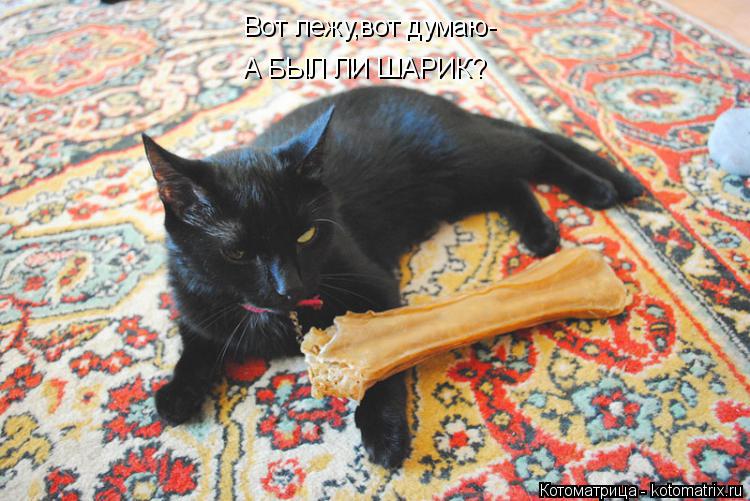 Вот лежу,вот думаю- А БЫЛ ЛИ ШАРИК?... Котоматрица: Вот лежу,вот думаю- А БЫЛ ЛИ ШАРИК?