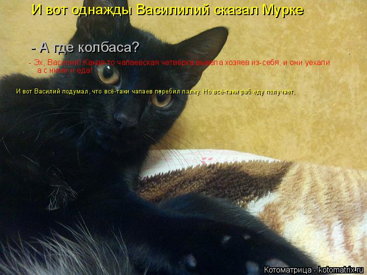 И вот однажды Василилий сказал Мурке - А где колбаса? - Эх, Василий! Какая-то чапаевская четвёрка в... Котоматрица: И вот однажды Василилий сказал Мурке - А где колбаса? - Эх, Василий! Какая-то чапаевская четвёрка вывела хозяев из-себя, и они уехали а с ними