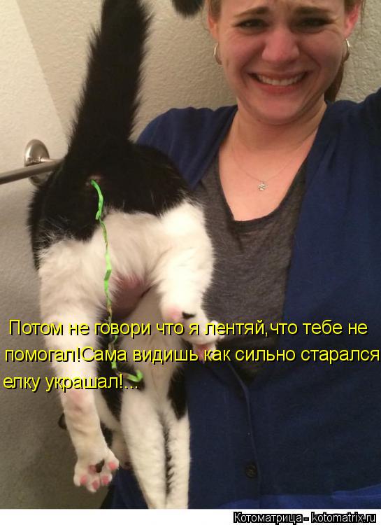 Котоматрица: Потом не говори что я лентяй,что тебе не помогал!Сама видишь как сильно старался, елку украшал!...