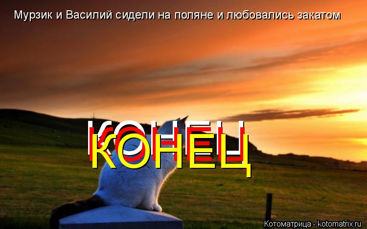 Котоматрица: Мурзик и Василий сидели на поляне и любовались закатом КОНЕЦ КОНЕЦ КОНЕЦ
