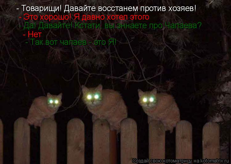- Товарищи! Давайте восстанем против хозяев! - Это хорошо! Я давно хотел этого - Да! Давайте! Кстат... Котоматрица: - Товарищи! Давайте восстанем против хозяев! - Это хорошо! Я давно хотел этого - Да! Давайте! Кстати, вы зннаете про Чапаева? - Нет - Так вот ча