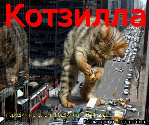 Котзилла Котзилла пародия на фльм "Годзилла" 1854 года Котзилла Котзилла... Котоматрица: Котзилла Котзилла пародия на фльм "Годзилла" 1854 года Котзилла Котзилла