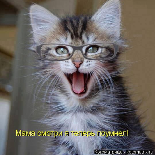 Мама смотри я теперь поумнел!... Котоматрица: Мама смотри я теперь поумнел!