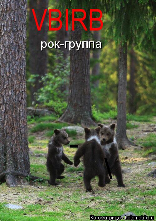 VBIRB рок-группа \ -... Котоматрица: VBIRB рок-группа \ -