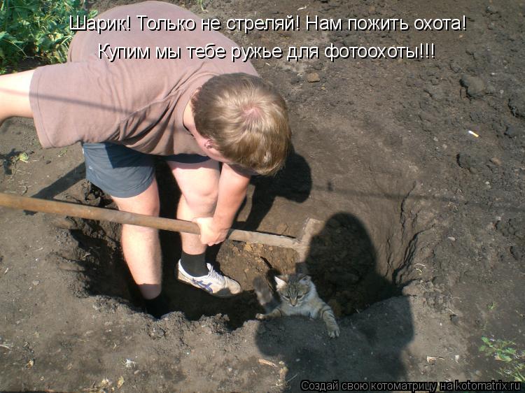 Котоматрица: Купим мы тебе ружье для фотоохоты!!! Шарик! Только не стреляй! Нам пожить охота!