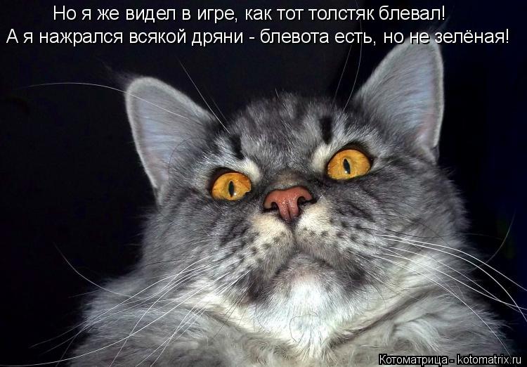 Но я же видел в игре, как тот толстяк блевал! А я нажрался всякой дряни - блевота есть, но не зелёная... Котоматрица: Но я же видел в игре, как тот толстяк блевал! А я нажрался всякой дряни - блевота есть, но не зелёная!
