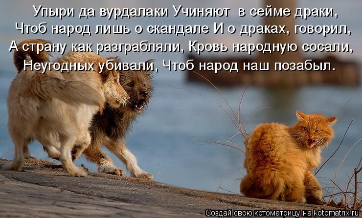 Котоматрица: Упыри да вурдалаки Учиняют  в сейме драки, Чтоб народ лишь о скандале И о драках, говорил, А страну как разграбляли, Кровь народную сосали, Не