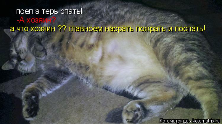поел а терь спать! -А хозяин -А хозяин? а что хозяин ?? главноем насрать пожрать и поспать!... Котоматрица: поел а терь спать! -А хозяин -А хозяин? а что хозяин ?? главноем насрать пожрать и поспать!