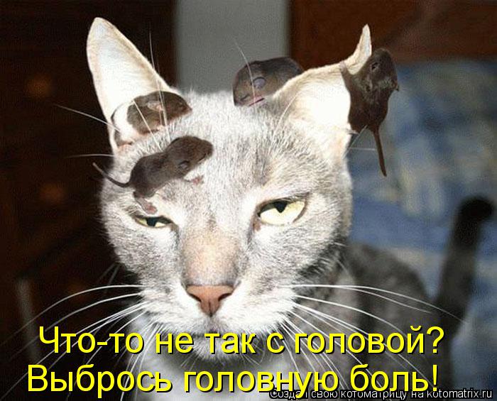 Что-то не так с головой? Выбрось головную боль!... Котоматрица: Что-то не так с головой? Выбрось головную боль!