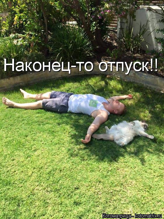 Наконец-то отпуск!!... Котоматрица: Наконец-то отпуск!!