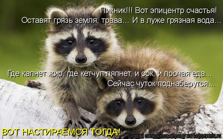 Где капнет жир, где кетчуп ляпнет, и сок, и прочая еда… Пикник!!! Вот эпицентр счастья! Оставят грязь... Котоматрица: Где капнет жир, где кетчуп ляпнет, и сок, и прочая еда… Пикник!!! Вот эпицентр счастья! Оставят грязь земля, трава… И в луже грязная вода… Сей